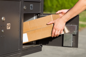 packers and movers, movers and packers services